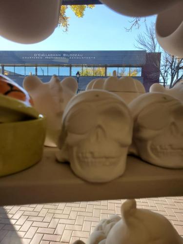 Skulls-with-sunglasses-before-painting